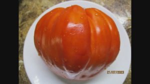 Лучшие новинки томатов 2023 года. Томат Древнее сердце Акви-Терме. №1057 в Каталоге.