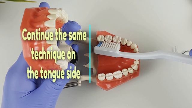 How to Brush Like A Dentist in 5 Simple Steps! смотреть онлайн