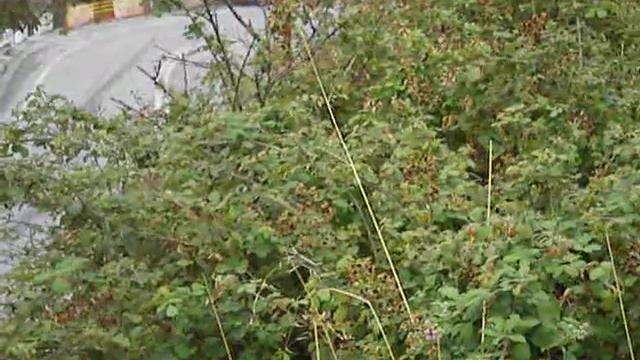 Anavasi Portarias 2008 - A.E.R.C. crash :-) смотреть онлайн