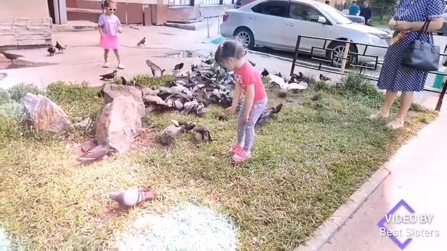 Алиса с Анютой гоняют голубей 🙂🙃🙂 смотреть онлайн