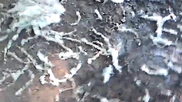 подожгли пух ! думали будет что то по круче смотреть онлайн