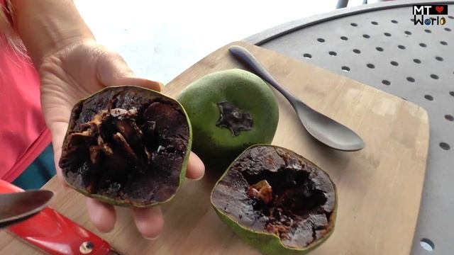 How to open and eat Black Sapote, Cocolate Pudding Fruit! смотреть онлайн
