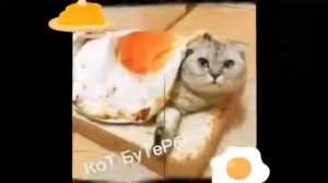 мышка сосиска, крыска ириска, кот бутерброд, авакада бегемот. (мем)