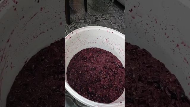 Второе вино смотреть онлайн