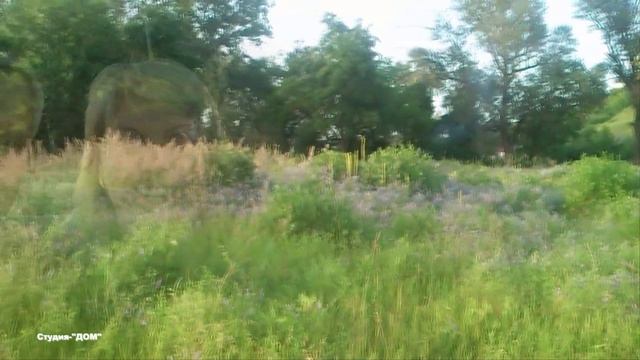 Мне просто хорошо с тобой... смотреть онлайн