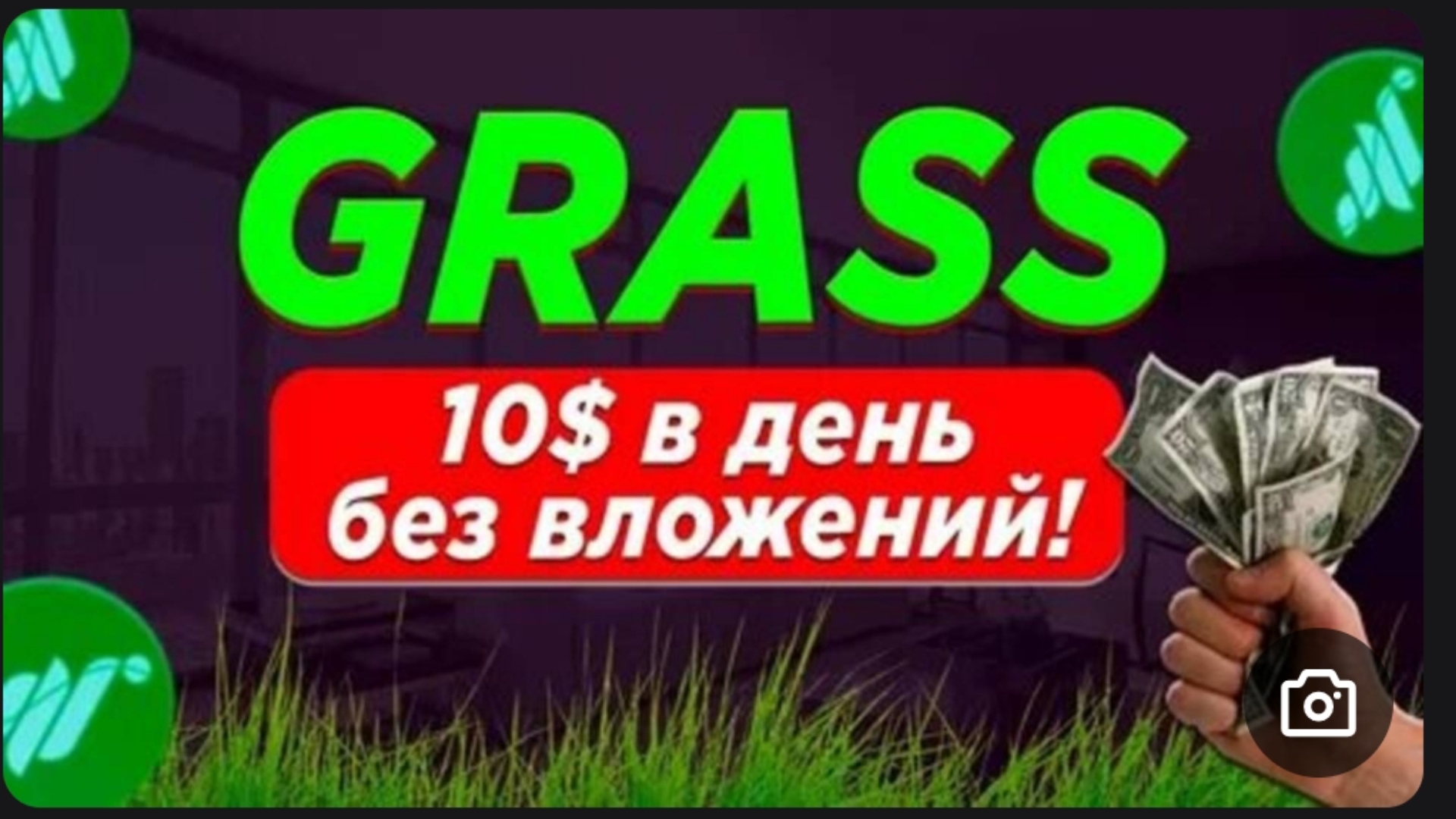 Grass Code: HO6X8PH6KdXuw6Z