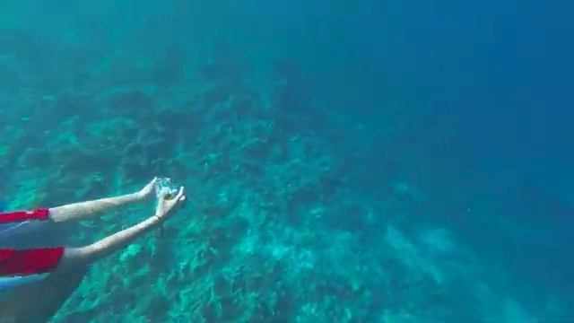 Sea Squirt Maldives смотреть онлайн