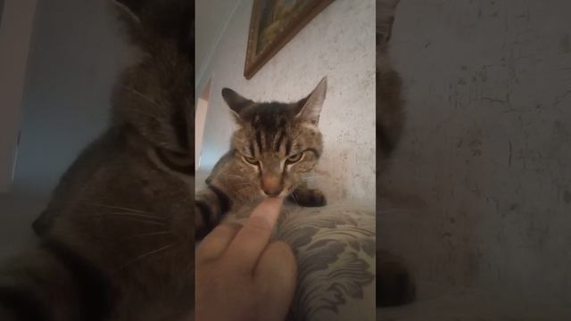 30 июня 2023 г. смотреть онлайн