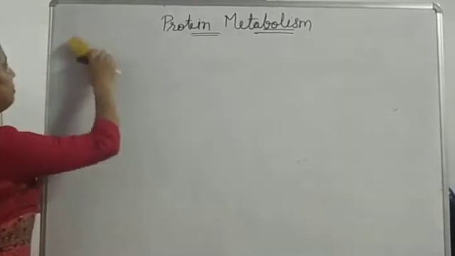 B.Sc. IIIrd Year Introduction of Amino Acids смотреть онлайн