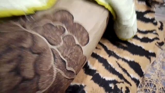 (the Rat's Umka) на русском 🇷🇺 1 СЕЗОН 6 СЕРИЯ Рождество фильмы 🐁🐁🐁