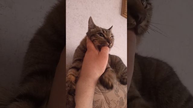 26 апреля 2023 г. смотреть онлайн