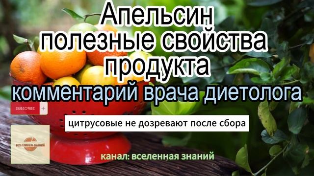 046-388 Апельсин - полезные свойства продукта. Комментарий врача диетолога. смотреть онлайн