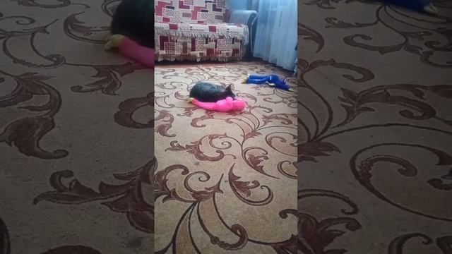 13 февраля 2023 г. смотреть онлайн