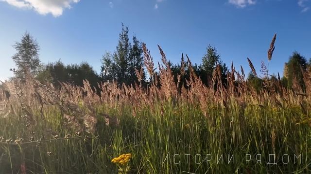 Случайно подслушав разговор соседок, Наташа решила проведать мужа на даче. А подойдя к окну… смотреть онлайн