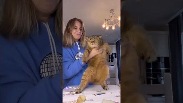 Подписывайтесь на мой канал и ставьте лайки моим видео. Мне нужна ваша поддержка!🙏🙏❤️ смотреть онлайн