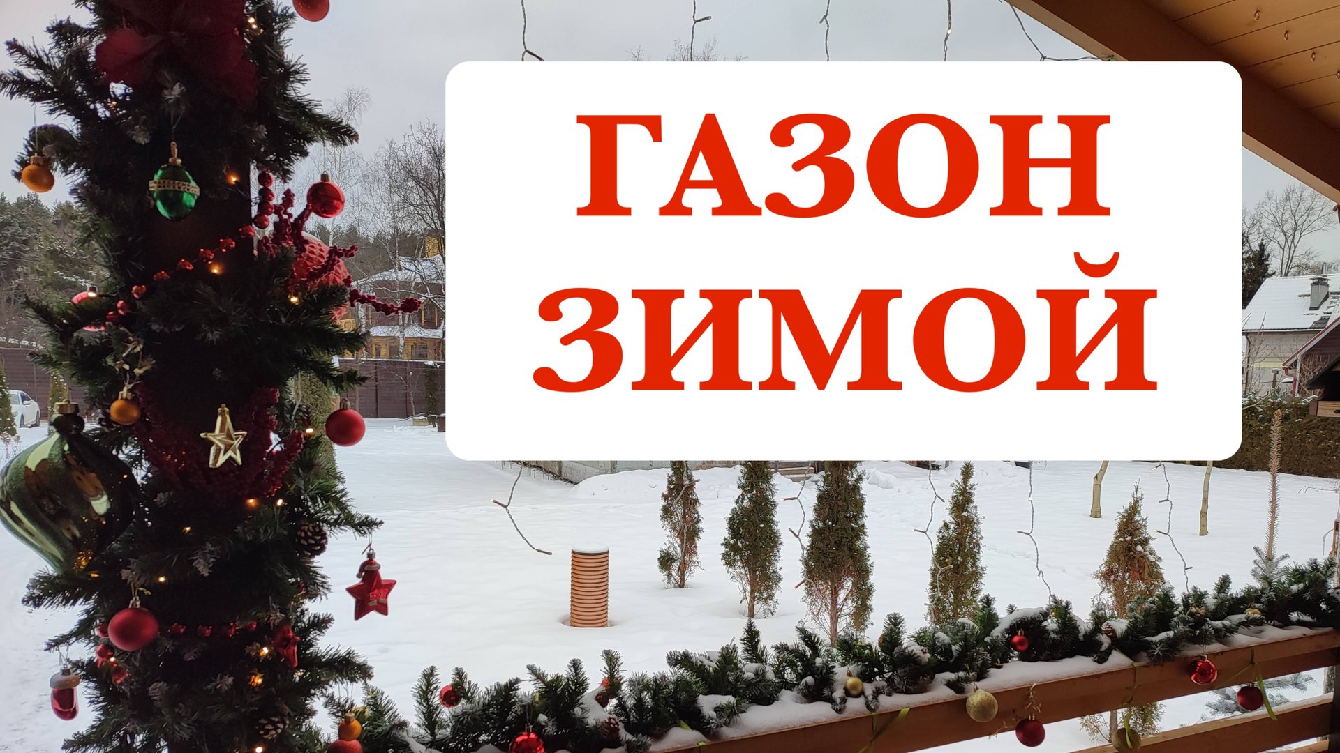 Газон зимой