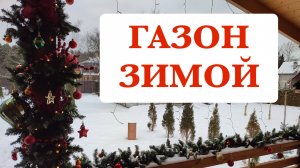 Газон зимой