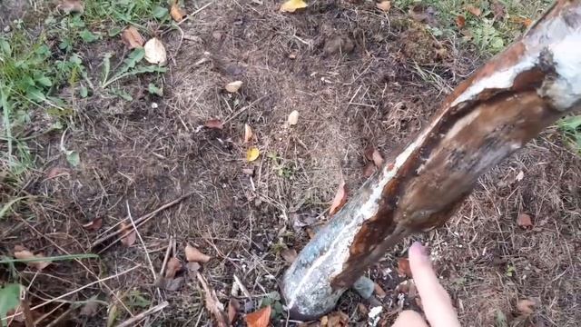 19 октября, дачные дела и дозаривание томатов и перцев дома. смотреть онлайн
