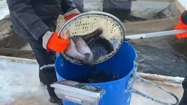 06-01-2025 смотреть онлайн