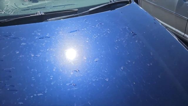 First Wash In OVER 2 YEARS For My Junkyard VW Bora/Jetta TDI