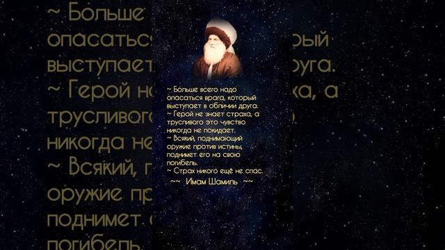 Имам Шамиль #цитаты#афоризмы#шортс#великиелюди#shorts смотреть онлайн