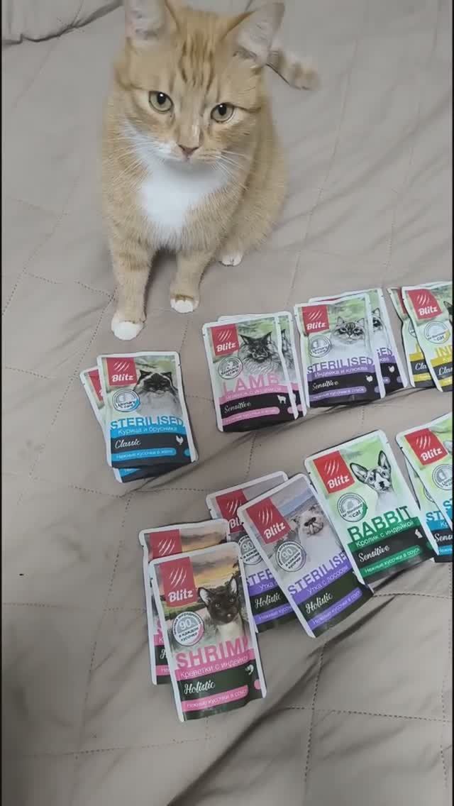 Кот Лютик #корм_для_кошек смотреть онлайн