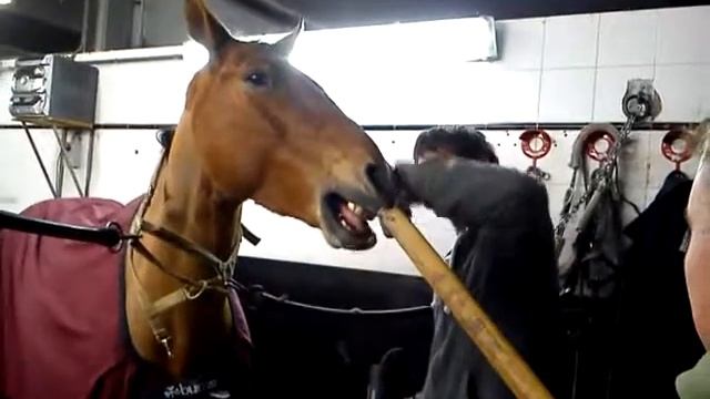 SCHEREN UNCLE BENZ 9 смотреть онлайн