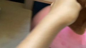 В отель на праздник  капибара влог