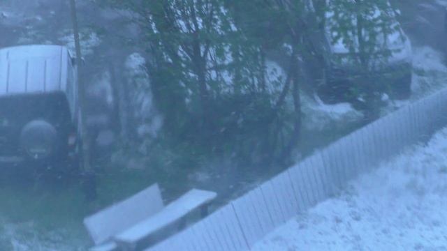 Зиму продержались осталось лето перезимовать. смотреть онлайн