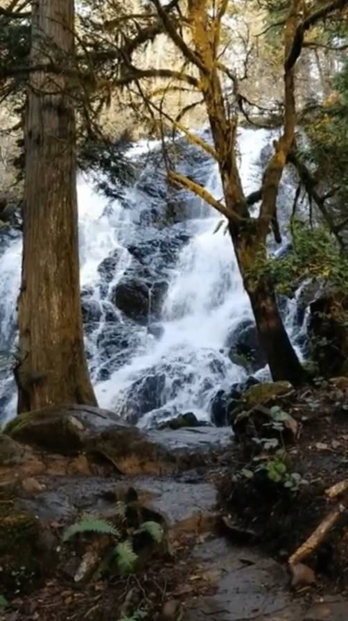 В жизни ... смотреть онлайн