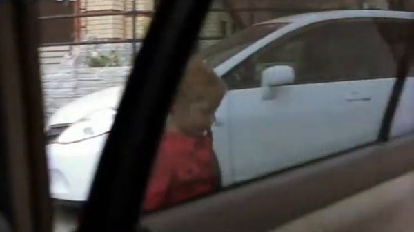 Киднеппинг в действии