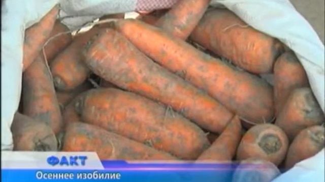 Факт (Рика ТВ) от 13 сентября 2018 года смотреть онлайн