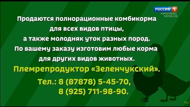 Местная реклама(Россия 1 Кабардино-Черкессия, 20.08.2020) (2) смотреть онлайн