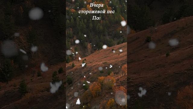 Ткнул куда-то не туда на Госуслугах. смотреть онлайн