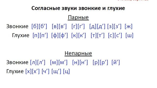 Меташкола. Русский язык 6 класс 23 серия. Прямое и переносное значение слова, согласные звуки. смотреть онлайн