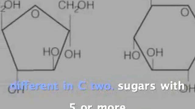 Sugars смотреть онлайн