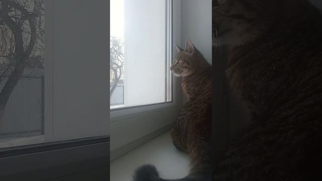 11 марта 2023 г. смотреть онлайн