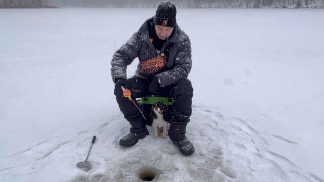 «RED CARTEL» что это? #atroposknife #redc