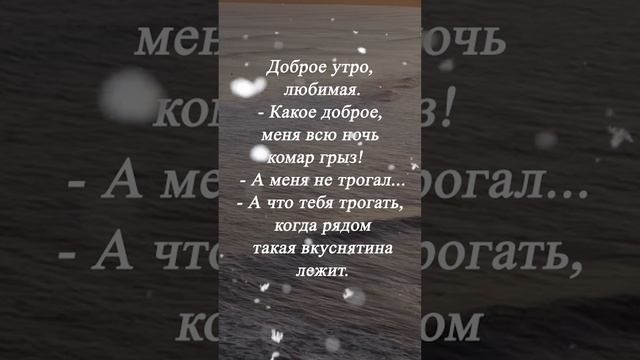 Статистика: 40% женщин предпочитают лысых мужчин смотреть онлайн