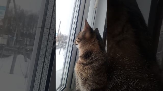 сверху смотреть онлайн