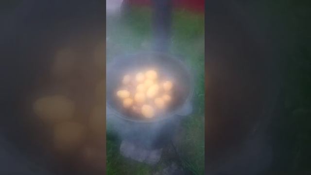 и Барсик тут смотреть онлайн