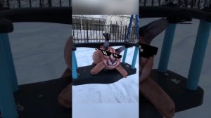 Песня про Шлёпу все Шлёпы должны это увидеть