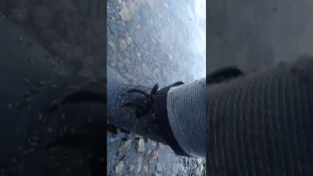 По речке Собь
https://rutube.ru/video/f50857d5d7dd2db8fb35e665cabafbdb/ смотреть онлайн