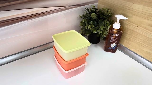Контейнеры Хранитель 490 мл(3 шт). Храним, транспортируем, сервируем. Tupperware смотреть онлайн