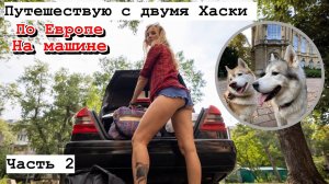 Живу в центре Будапешта с двумя Хаски 🐕🐕 Часть 2. Дорогая парковка и реки мочи 😱
