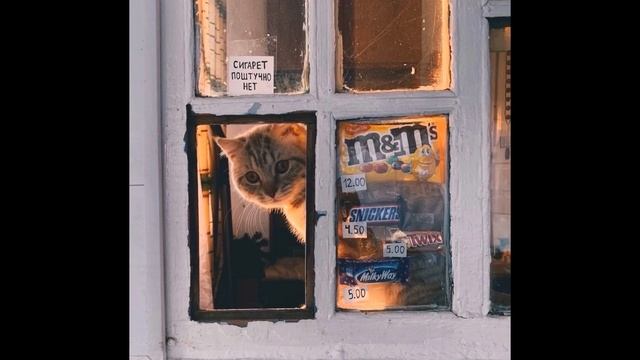 FREE TYPE BEAT (METOX/УННВ/ЦИНК УРОДОВ) смотреть онлайн