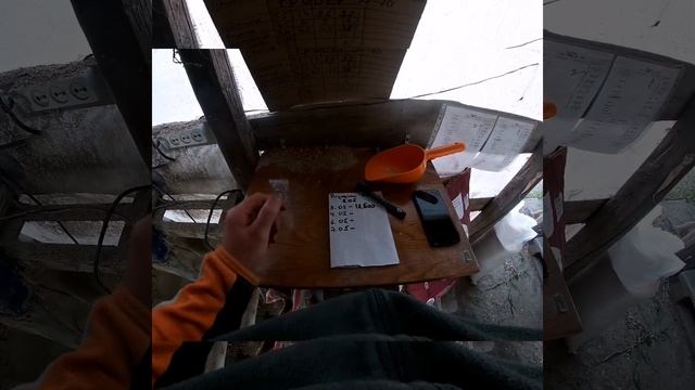 Відлучка поросят 32 дня❗❗❗❗ смотреть онлайн
