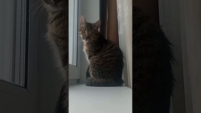 1 февраля 2023 г. смотреть онлайн