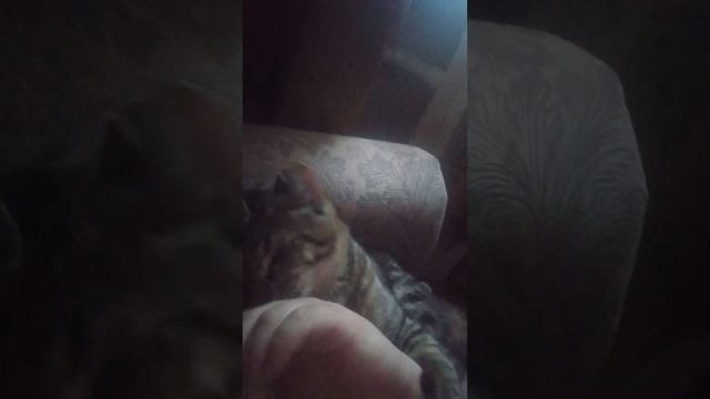 7 февраля 2023 г. смотреть онлайн