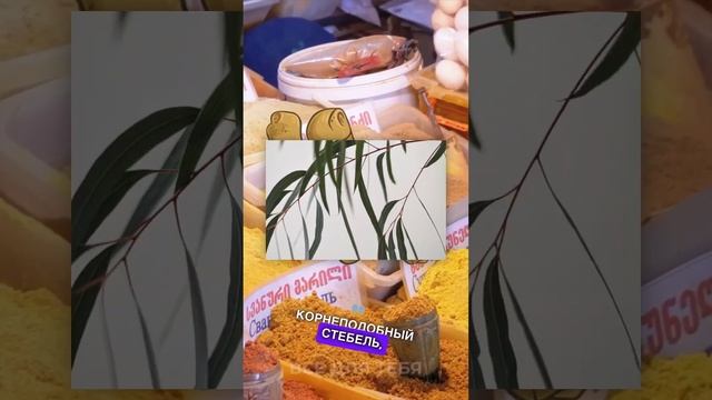 🫚 Тысячи лет вкуса и пользы. Имбирь смотреть онлайн